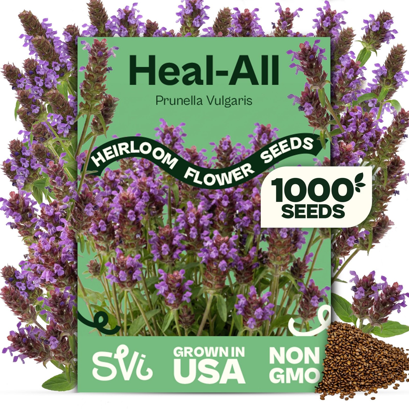 1000 Heal All Seeds Prunella Vulgaris Self Heal, Medicinal Herb with Purple …