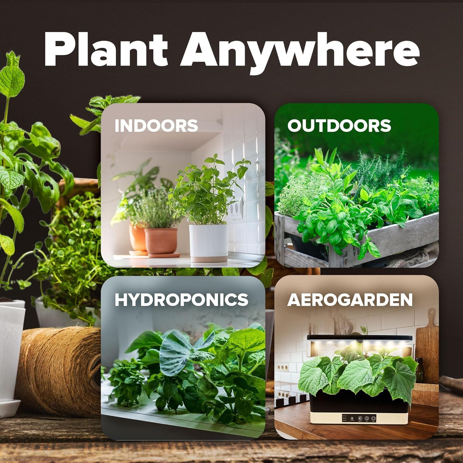 10 Variety Seed Vault 5,700+ USA Grown Heirloom Non-Gmo Vegetable Seeds for Plan