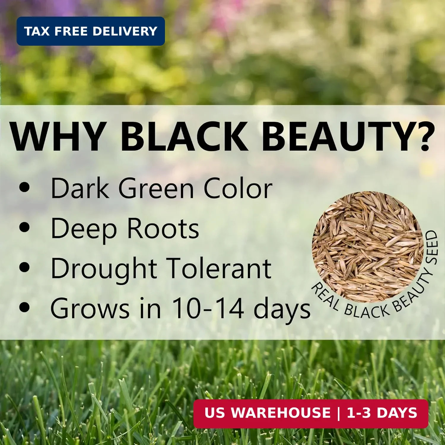 Jonathan Green (10870) Black Beauty Sunny Grass Seed – Cool Season Lawn Seed (25
