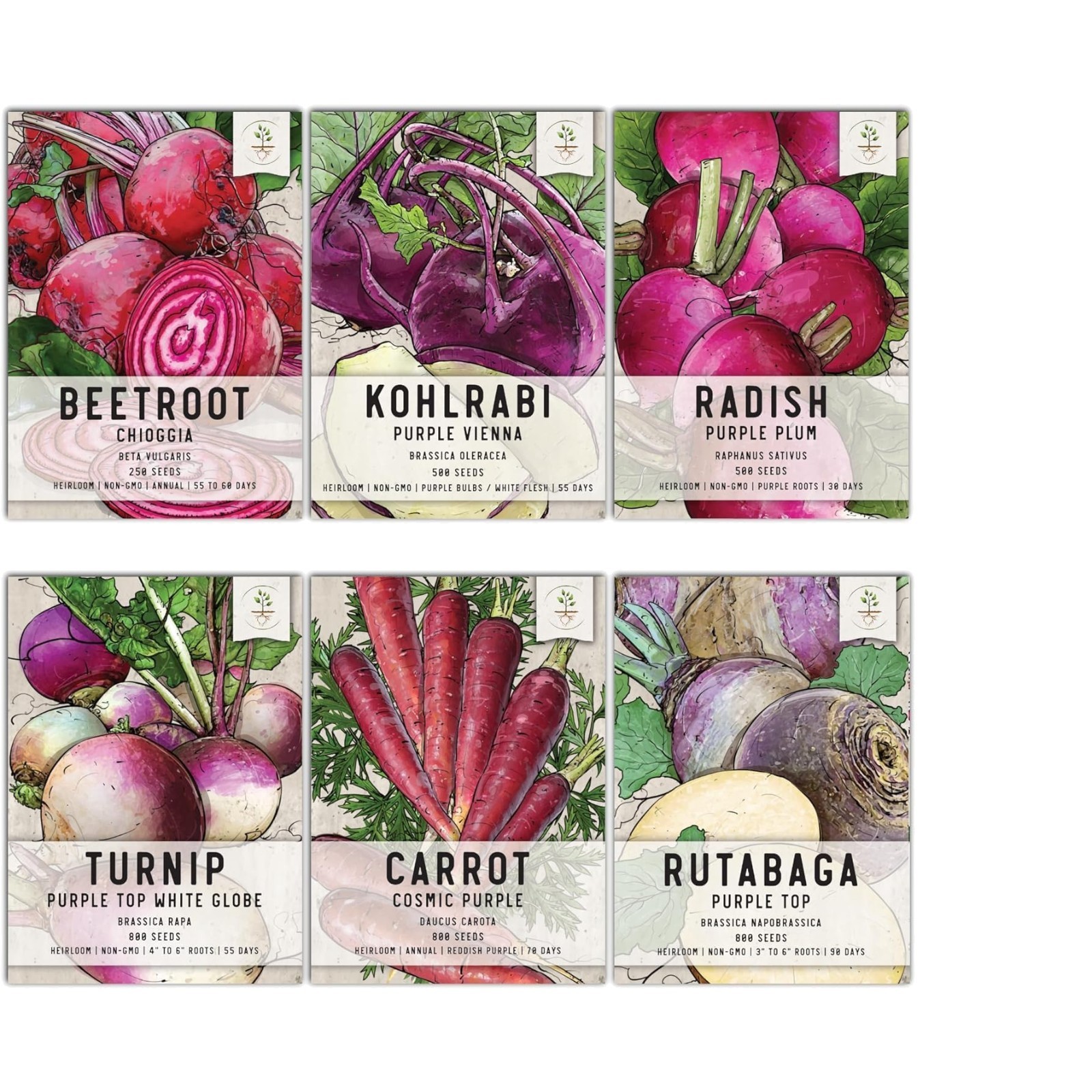 Edible Roots & Bulbs Variety Pack/Seed Collection Contains Rutabaga, Turnips,…