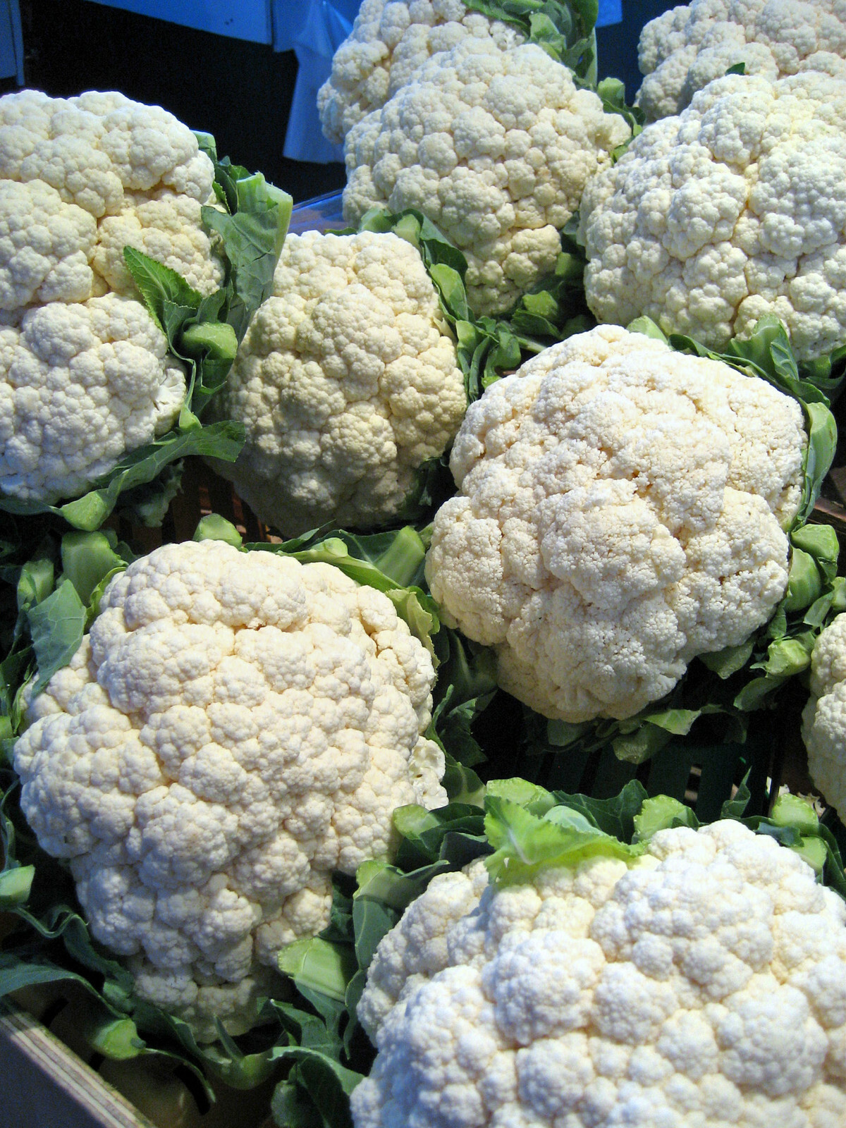 Cauliflower Seeds- Snowball- 300+ 2021 Seeds $1.69 Max Shipping
