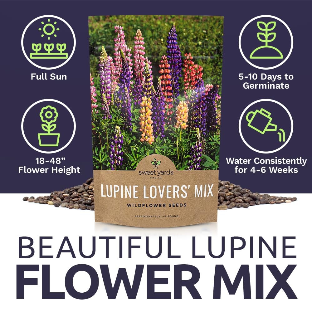 Bulk Lupine Mix Wildflower Seeds, 1/4 Pound Bag, Over 4,500 Annual, Perennial