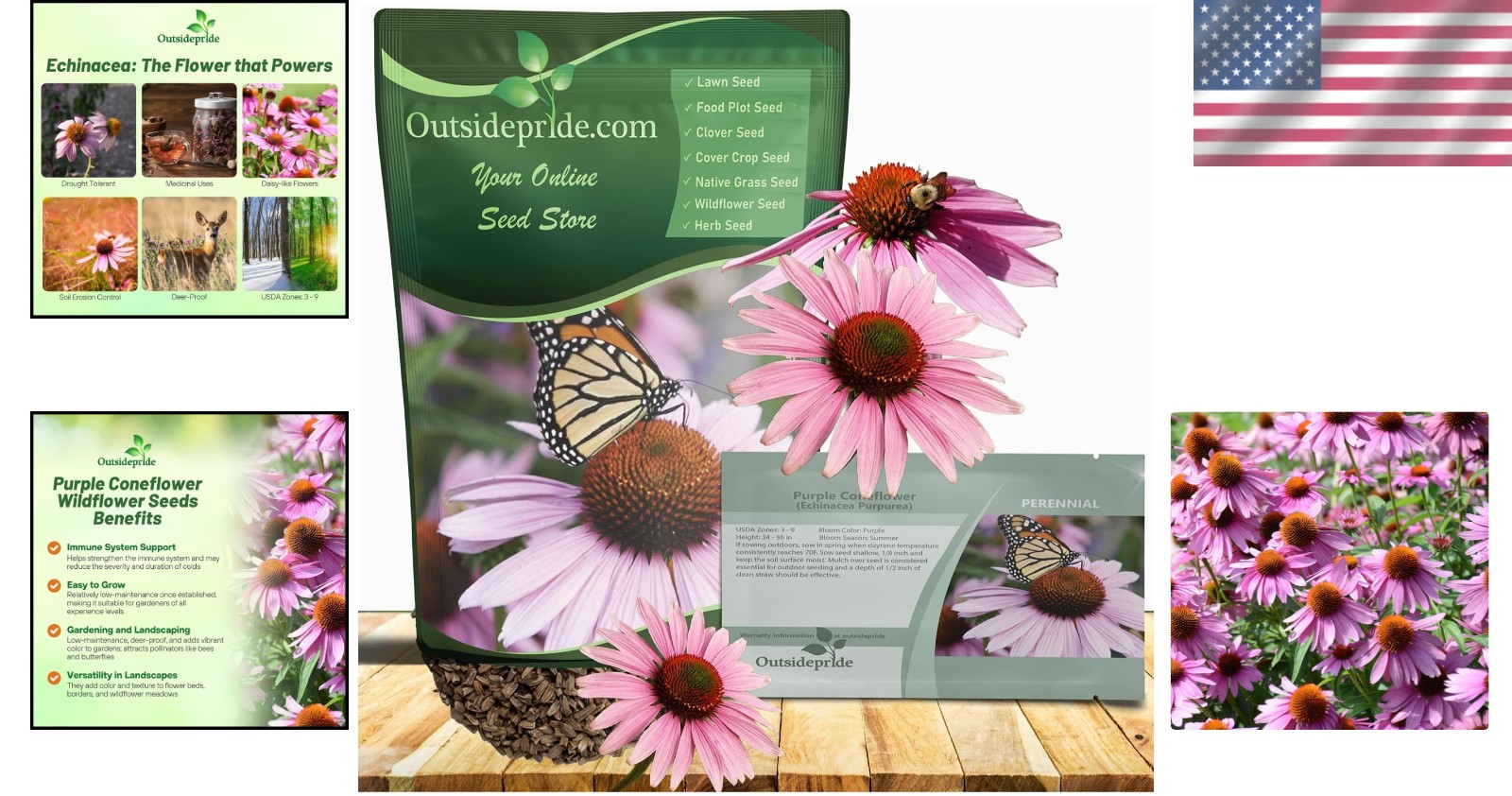 Heirloom Purple Echinacea Coneflower Seeds – 1/4 lb Deer-Resistant & Easy Care