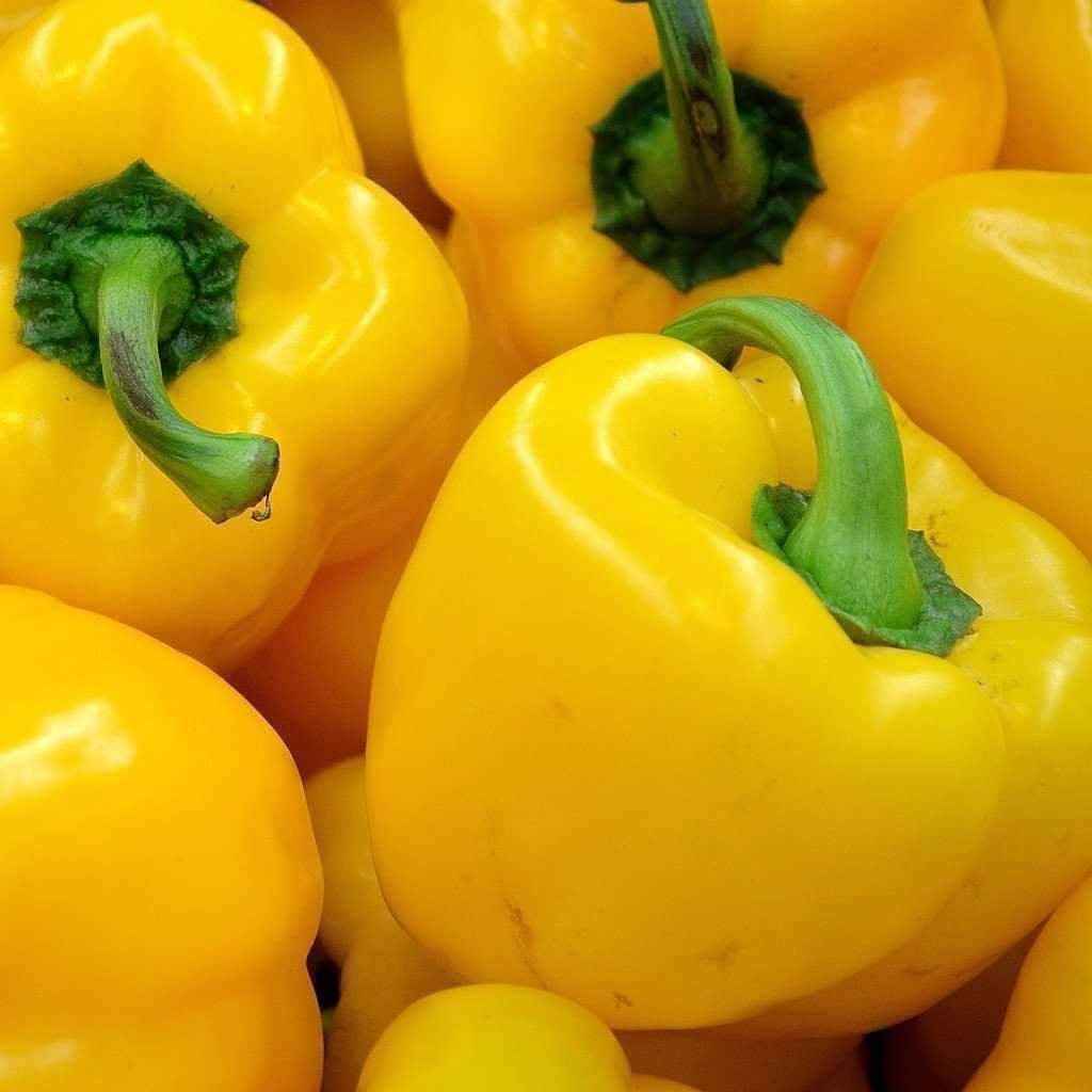 Sunbright Yellow Bell Pepper Seeds 25+ Vegetable NON-GMO HEIRLOOM FREE SHIPPING