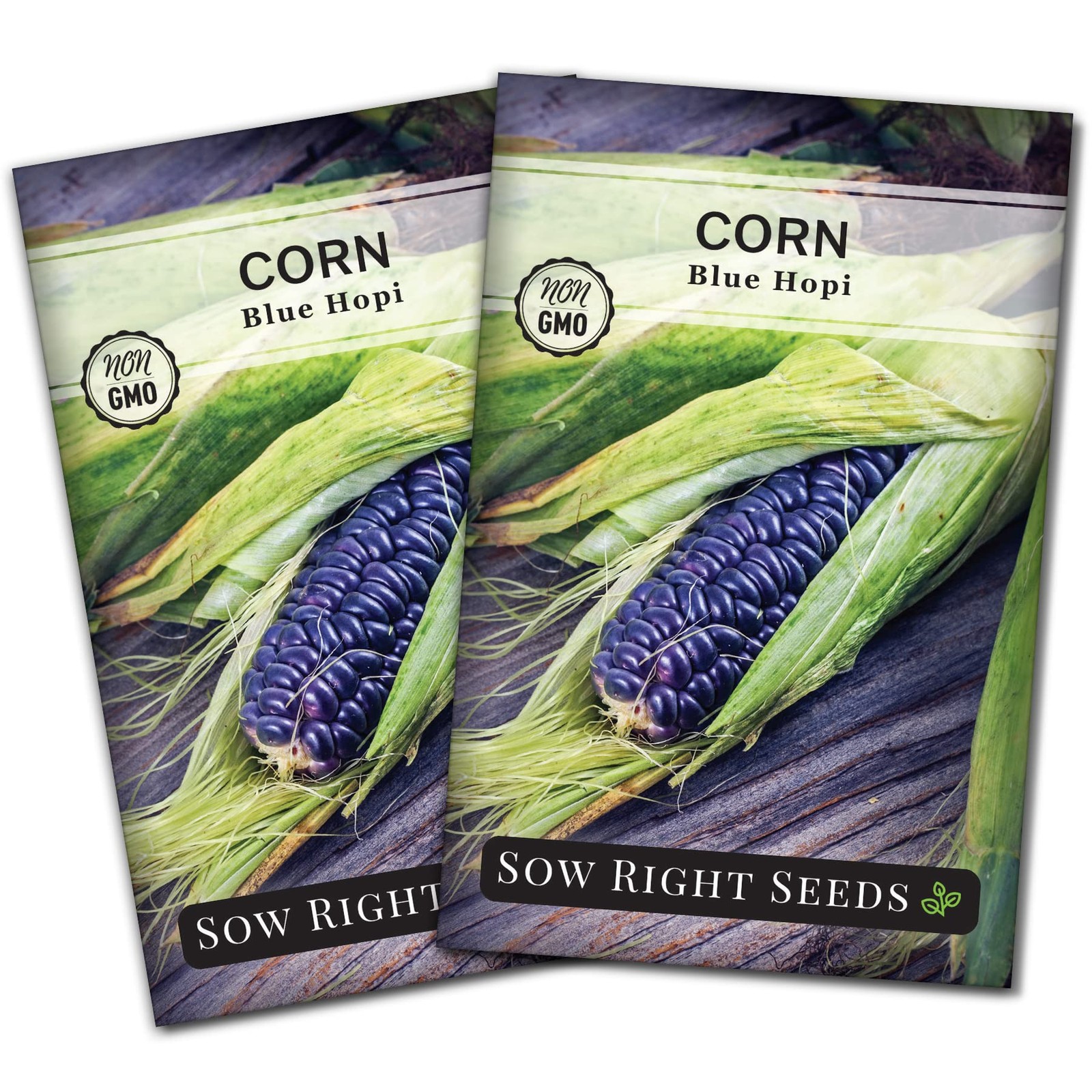 Blue Hopi Corn Seed for Planting NonGMO Heirloom Packet with Instructions t…