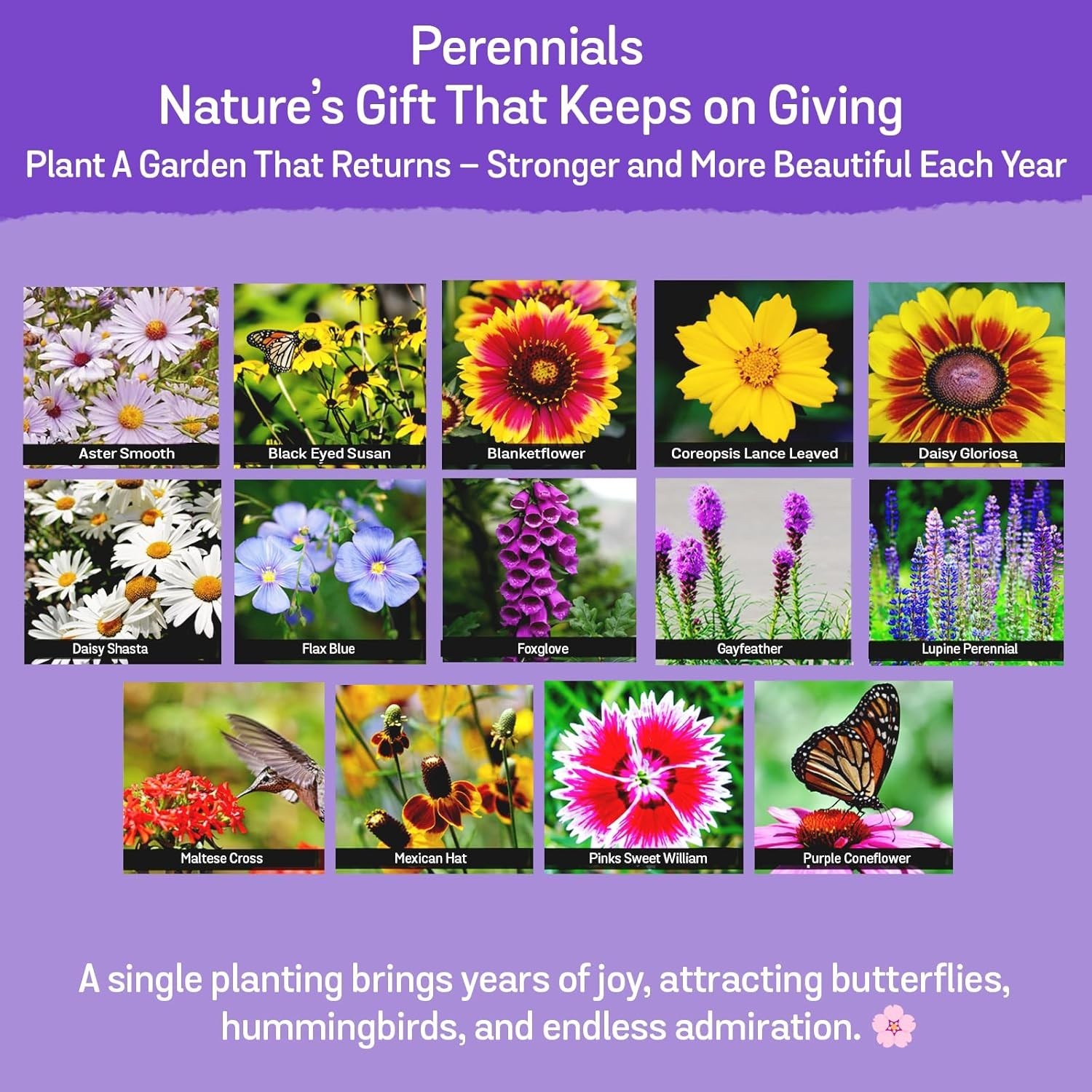 Wildflower Seeds, 1/2 lb, 340,000 Seed, 35 Variety Perennial & Annual Flower …