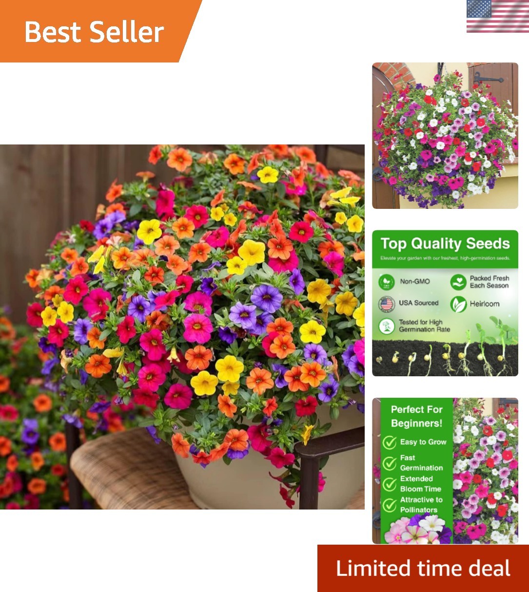 Rainbow Petunia Seeds – 5000 Heirloom Grandiflora Seeds for -Round Blooms