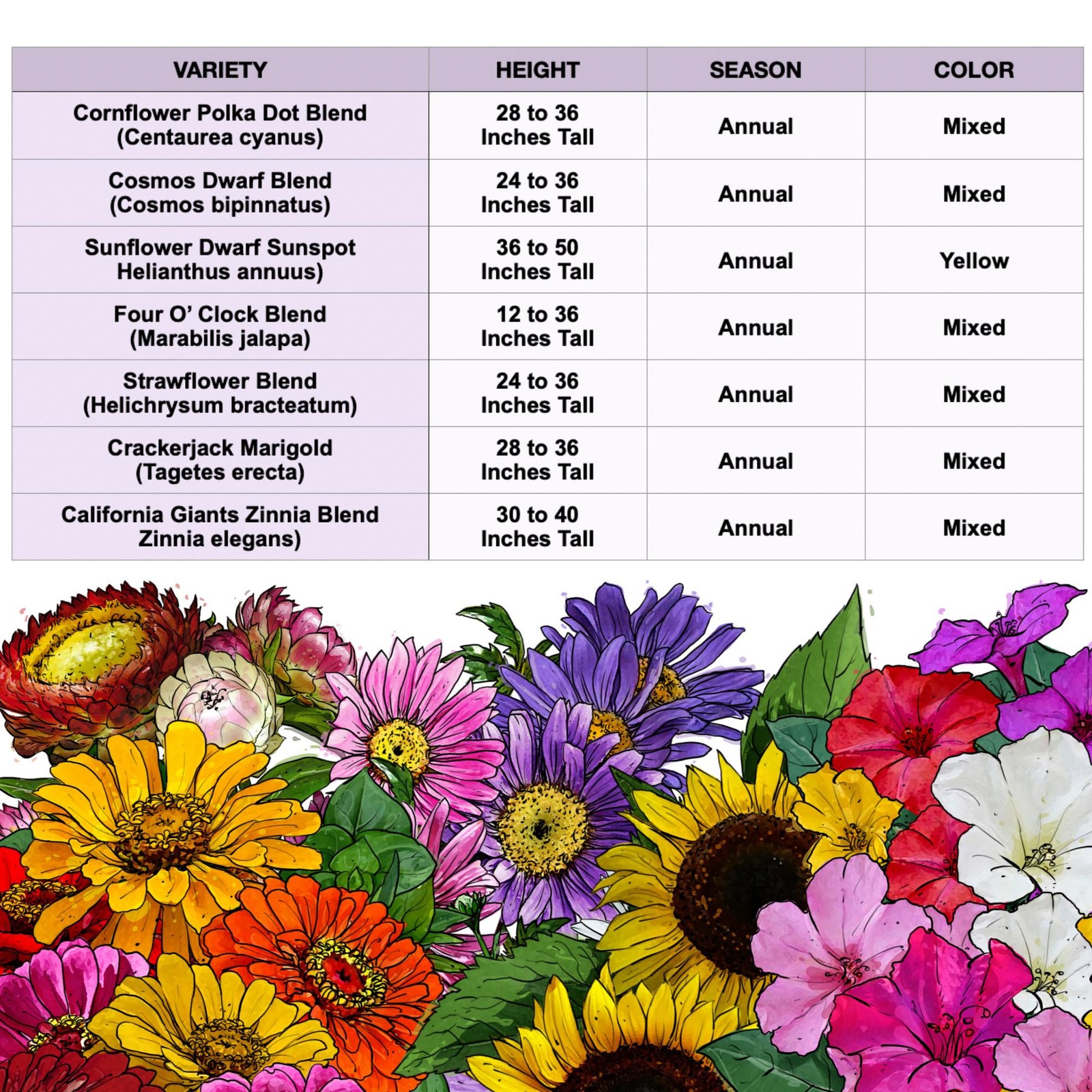 Garden Flower Seeds Mix for Hummingbirds & Butterflies | 1 oz, 7 Varieties