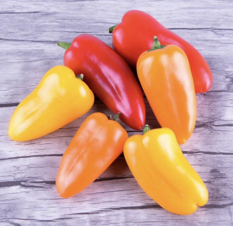 “LUNCHBOX” SWEET PEPPER – ORGANIC – HEIRLOOM – 20 SEEDS