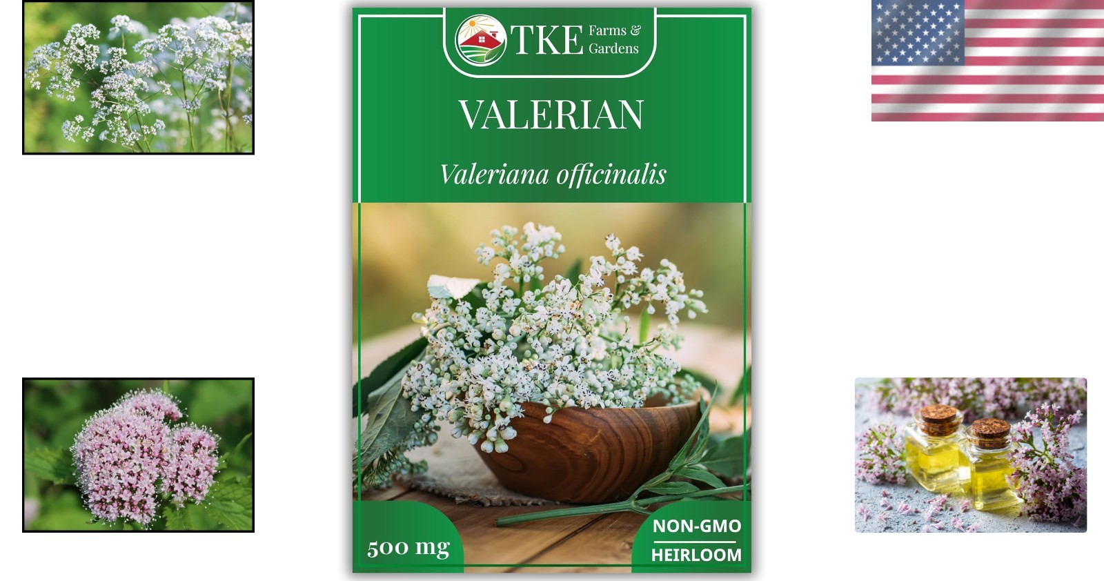 500+ Non-GMO Heirloom Valerian Seeds – Fragrant Medicinal Herb for Wellness
