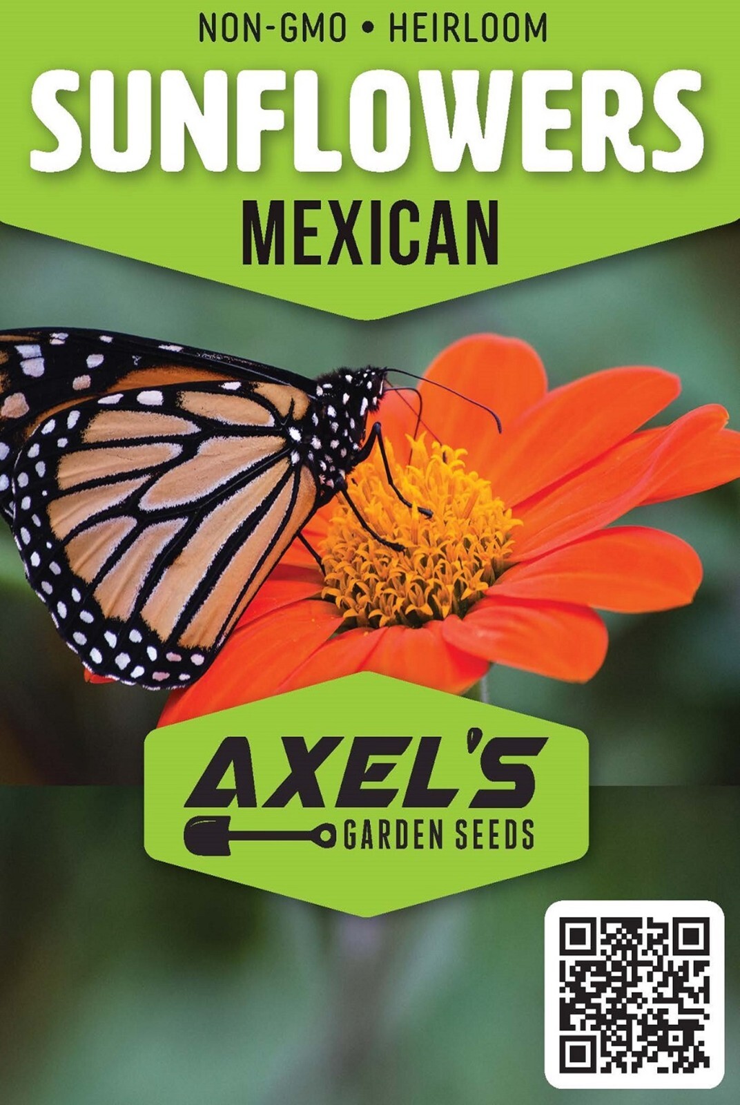 Bulk Sunflower Seeds Mix – Heirloom Non-Gmo Flower Seeds for Home Garden