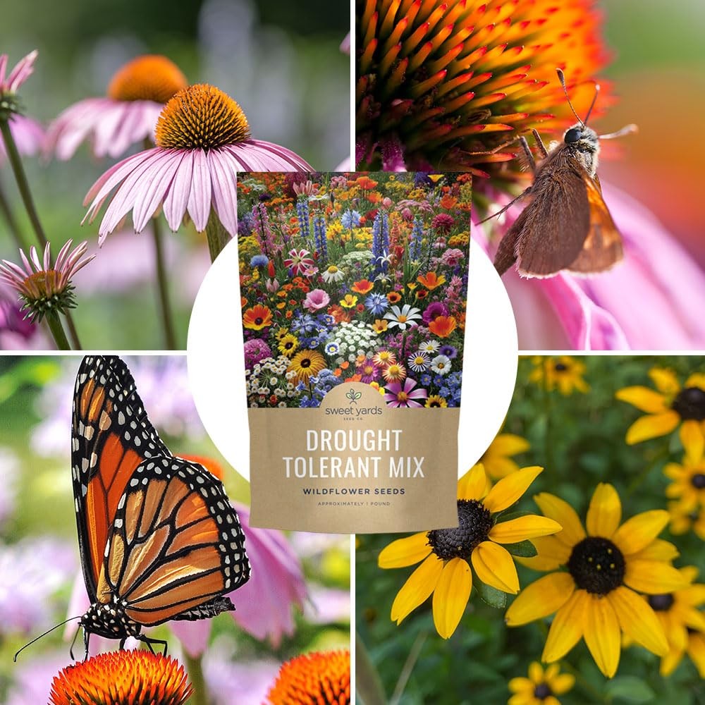 Drought Tolerant Wildflowers Mix – Bulk 5 Pounds – Over 600,000 Open Pollinat…