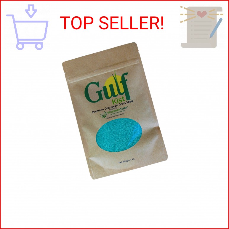 Centipede Grass Seed for a Dense Green Lawn, NO Mulch, 1 lb Coated Seeds, Sun an