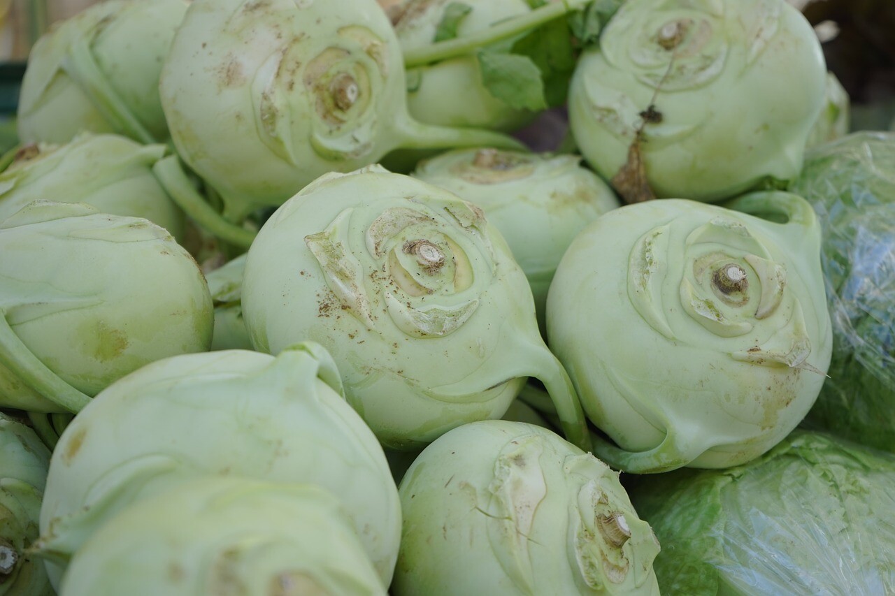 250 White Vienna Kohlrabi – Heirloom Non-GMO Kohlrabi Seeds