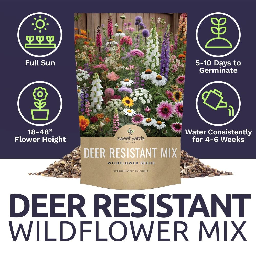 Deer Resistant Wildflower Seed Mixture – Bulk 1/4 Pound Bag – Over 60,000 Dee…