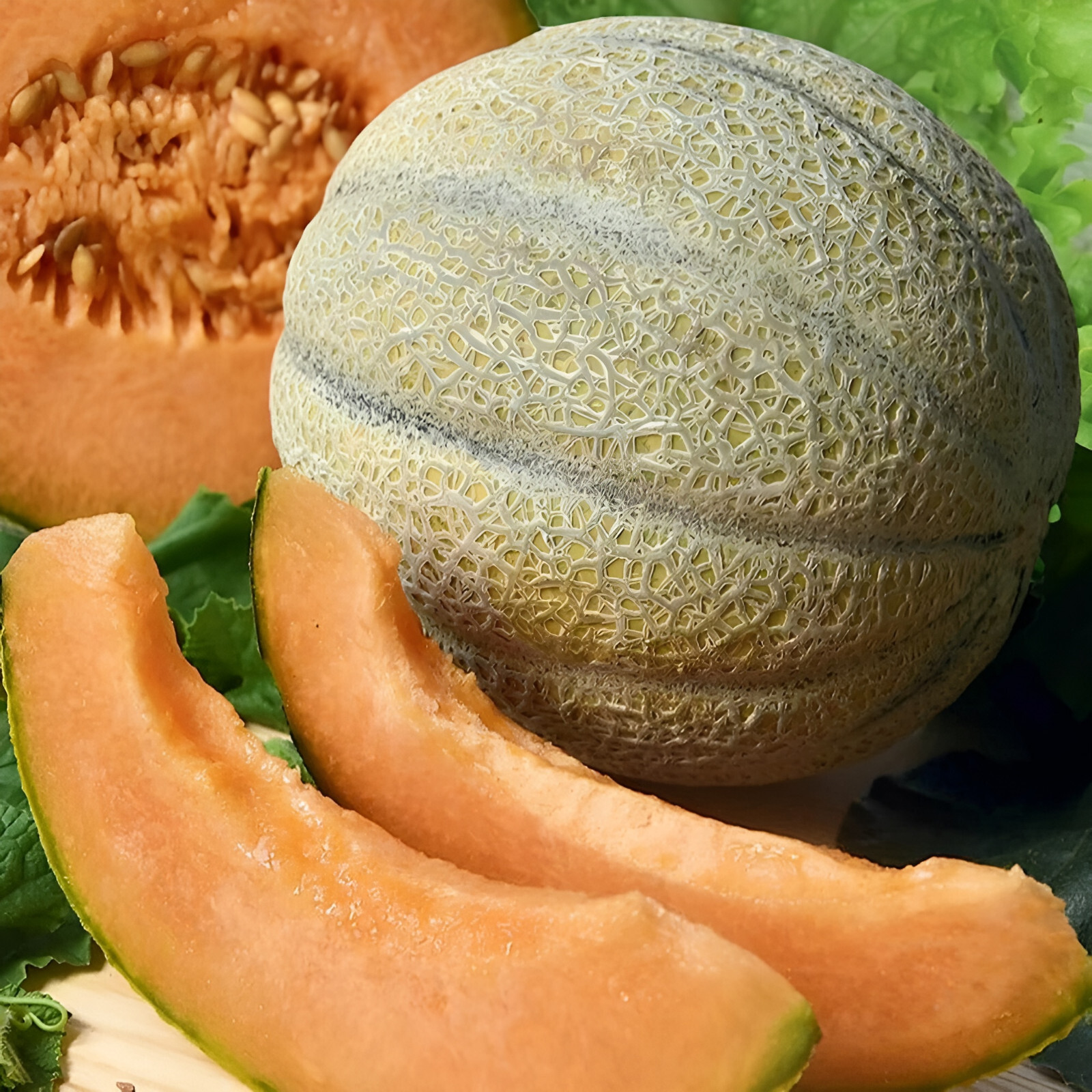 100 Heirloom Organic Rockmelon Seeds – AAS Winner – Insanely Sweet & Creamy!