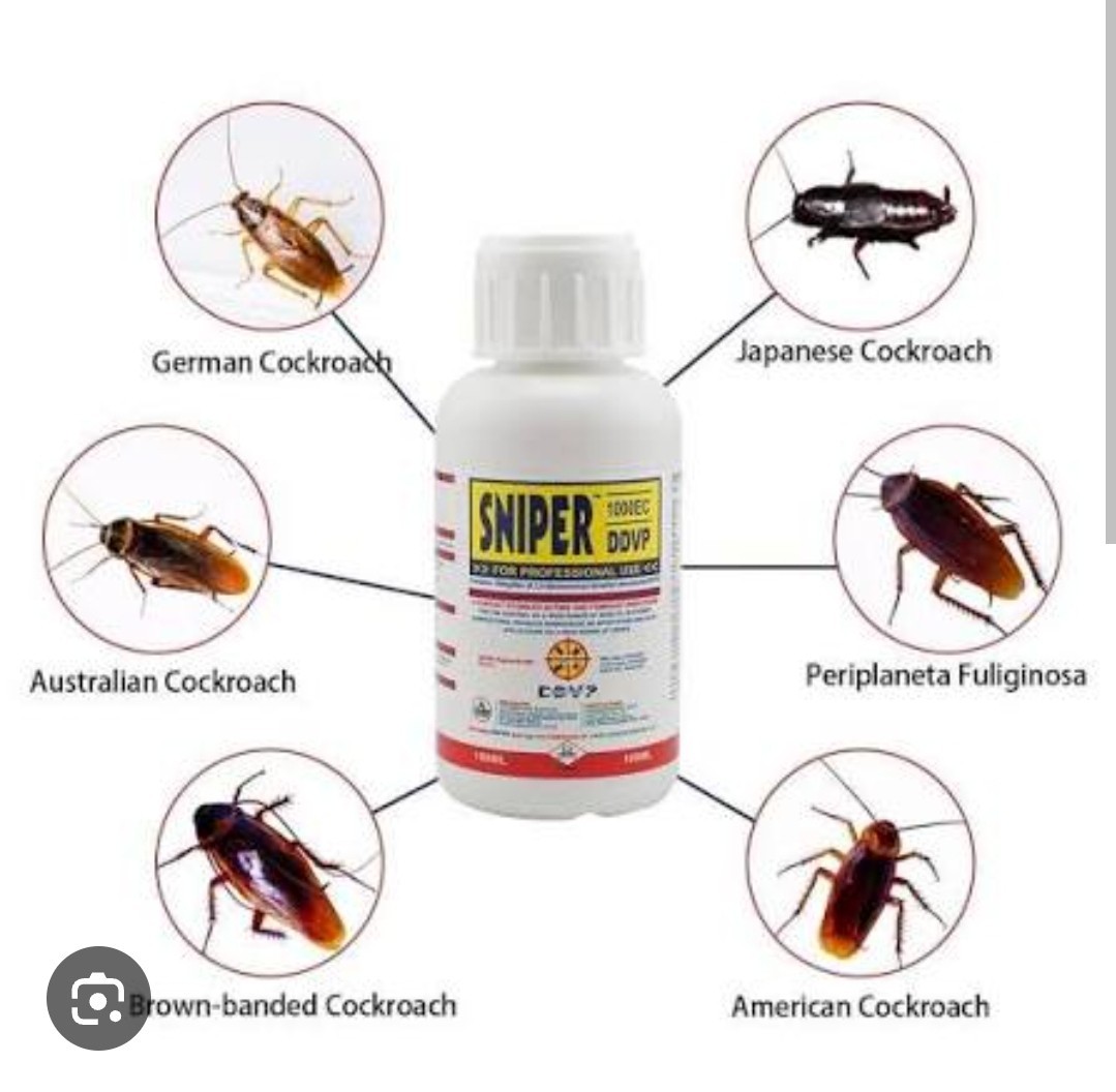 2026 Roach killer