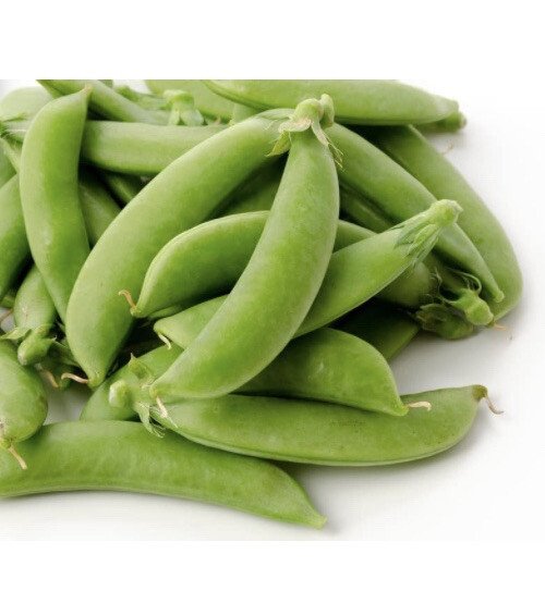 Sugar Snap Pea Seeds Heirloom Variety Garden Planting Non-GMO 50 Fresh