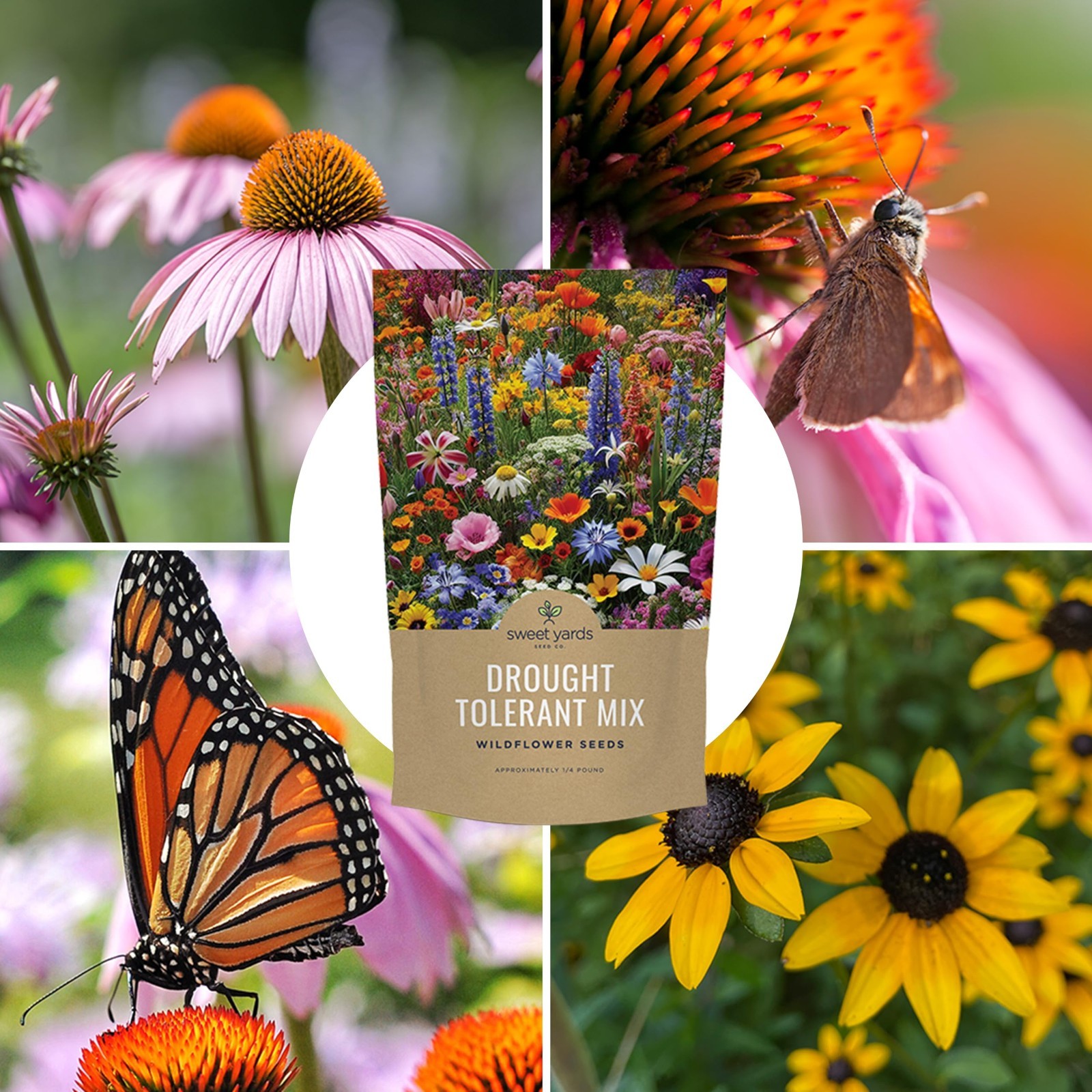 Drought Tolerant Wildflower Seed Mix – 30,000+ Non-GMO Seeds, 21 Dryland Varieti