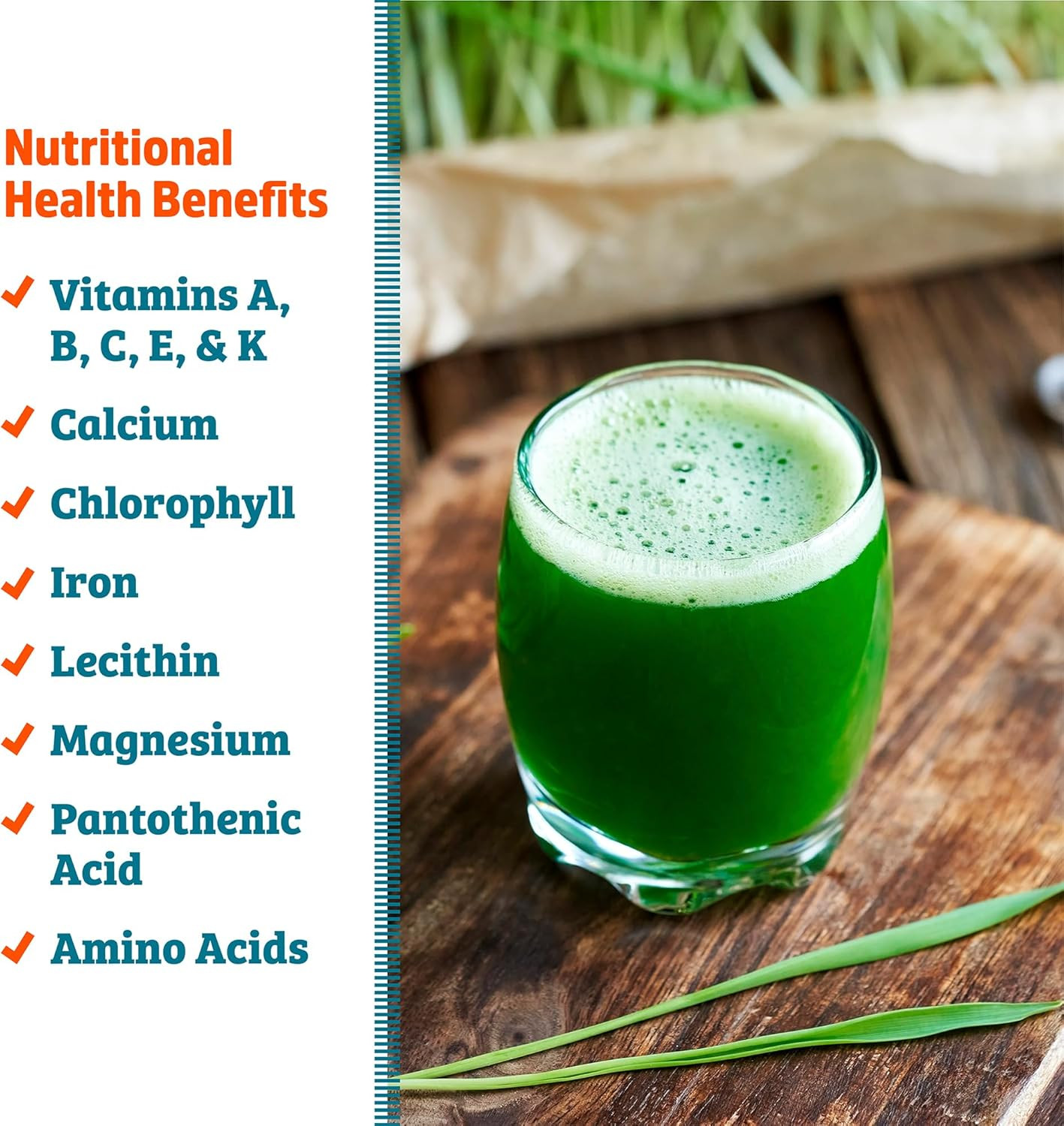 100% Organic Wheatgrass Seeds | 1 Pound Non-Gmo | Nutrient
