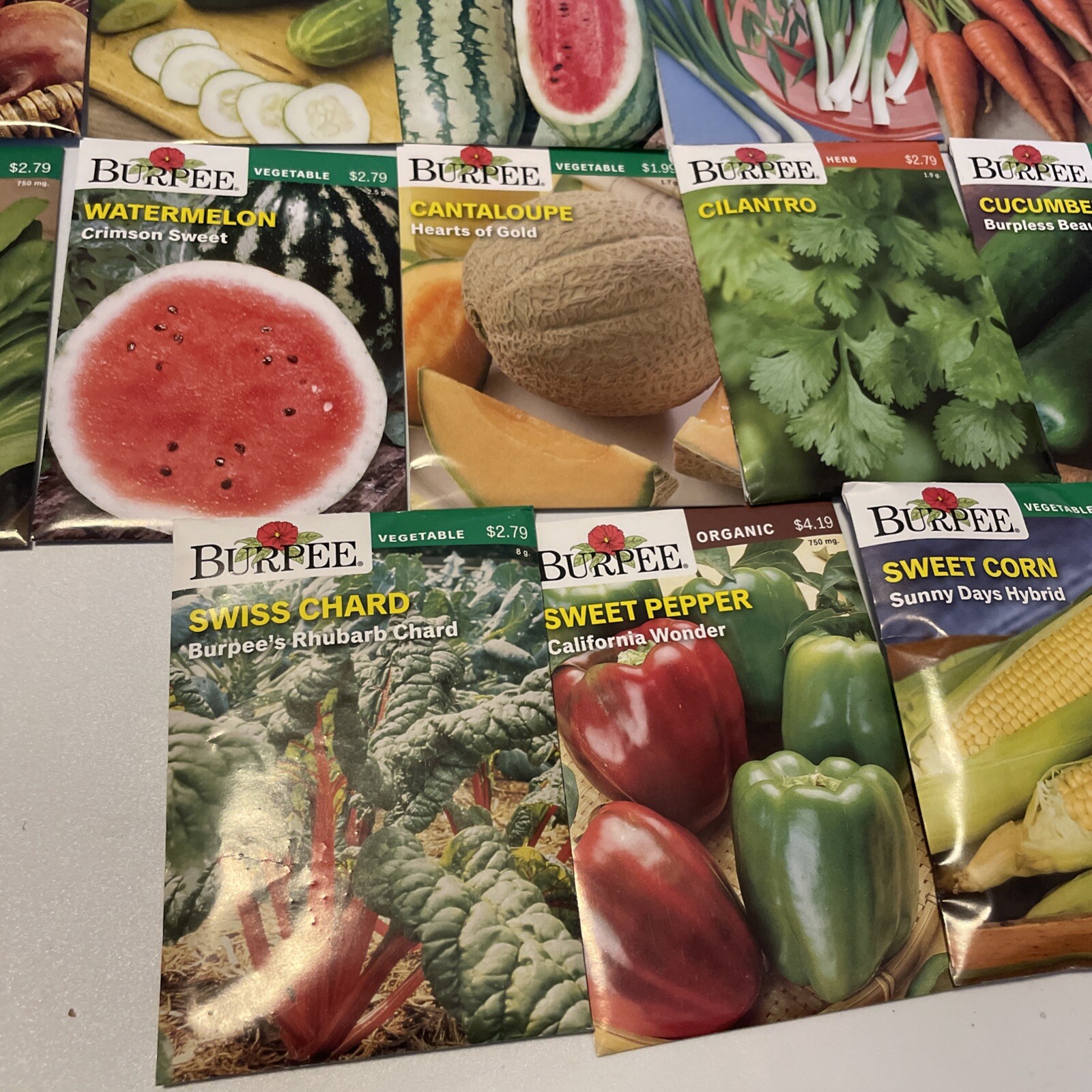 Garden Seeds Lot of 22 Packs of Burpee Vegetable & Herbs Dated 2021