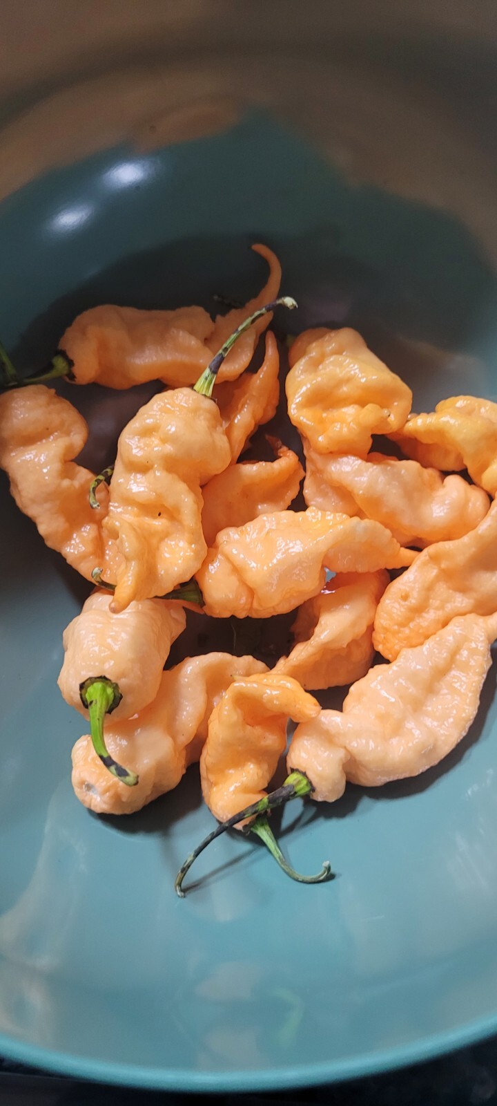 Ghost Pepper Peach Scorpion Seeds Super Hot Pepper (10+ per pack)