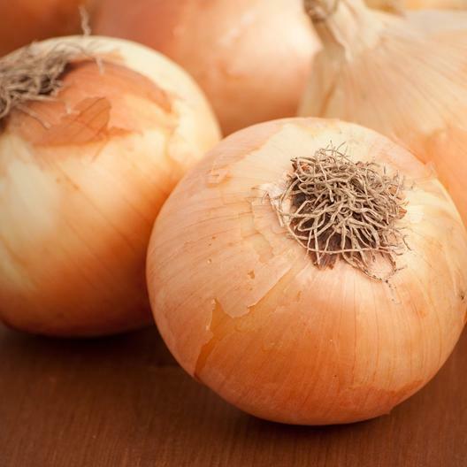 500 Yellow Sweet Spanish Onion Seeds