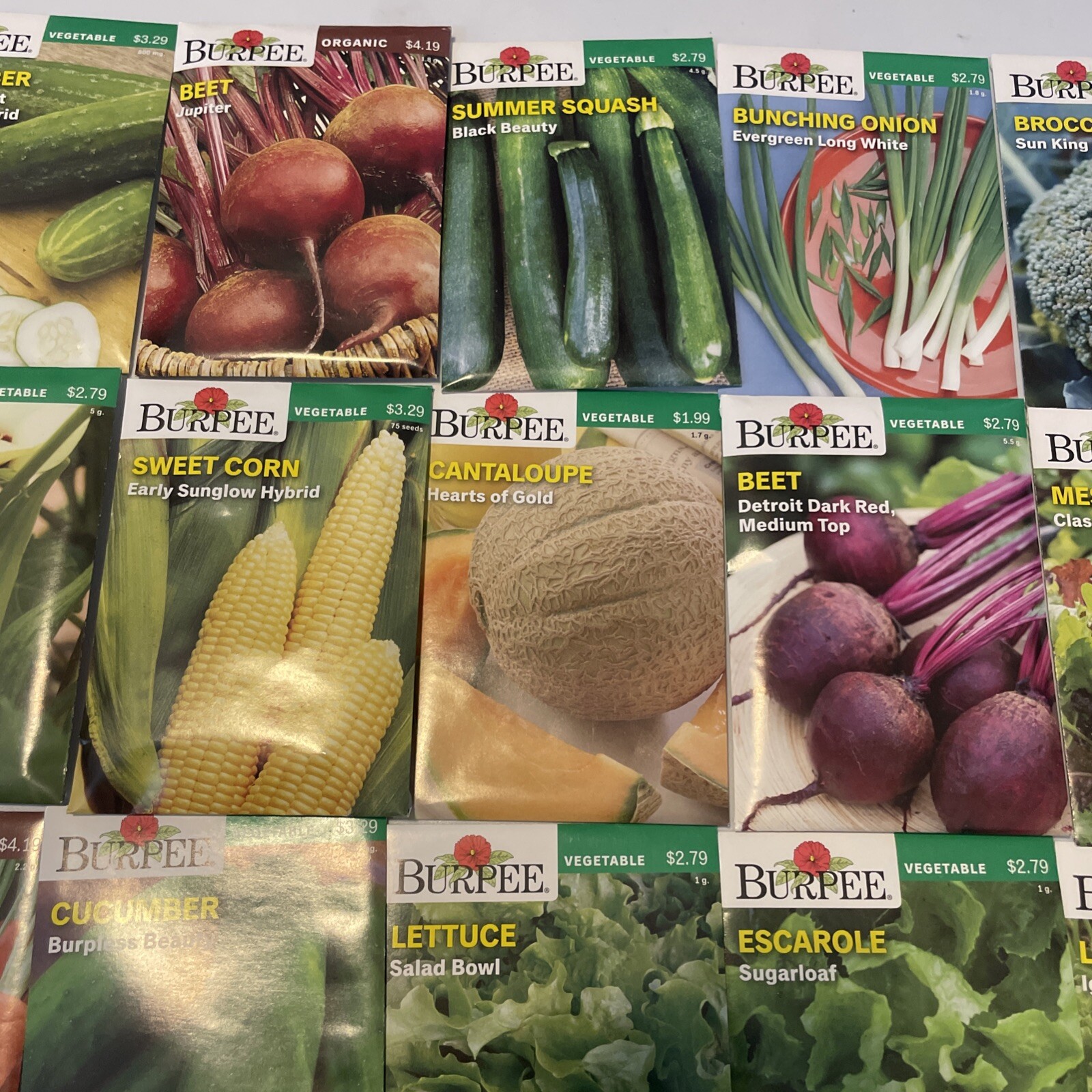 Burpee Garden Seeds Lot of 22 Packs – Vegetable & Herbs Dated 2021