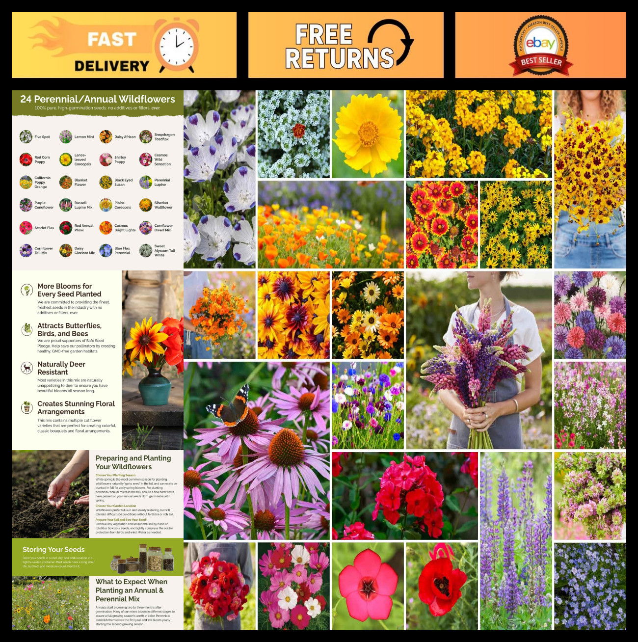 Southeast Wildflower Seed Mix – 1 lb, 480,000+ Seeds, Attracts Pollinators, Plan
