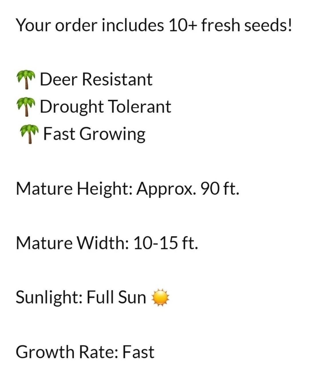 FAST-GROWING Mexican Fan Palm Tree (Washingtonia Robusta) Seeds (10+ Total)!