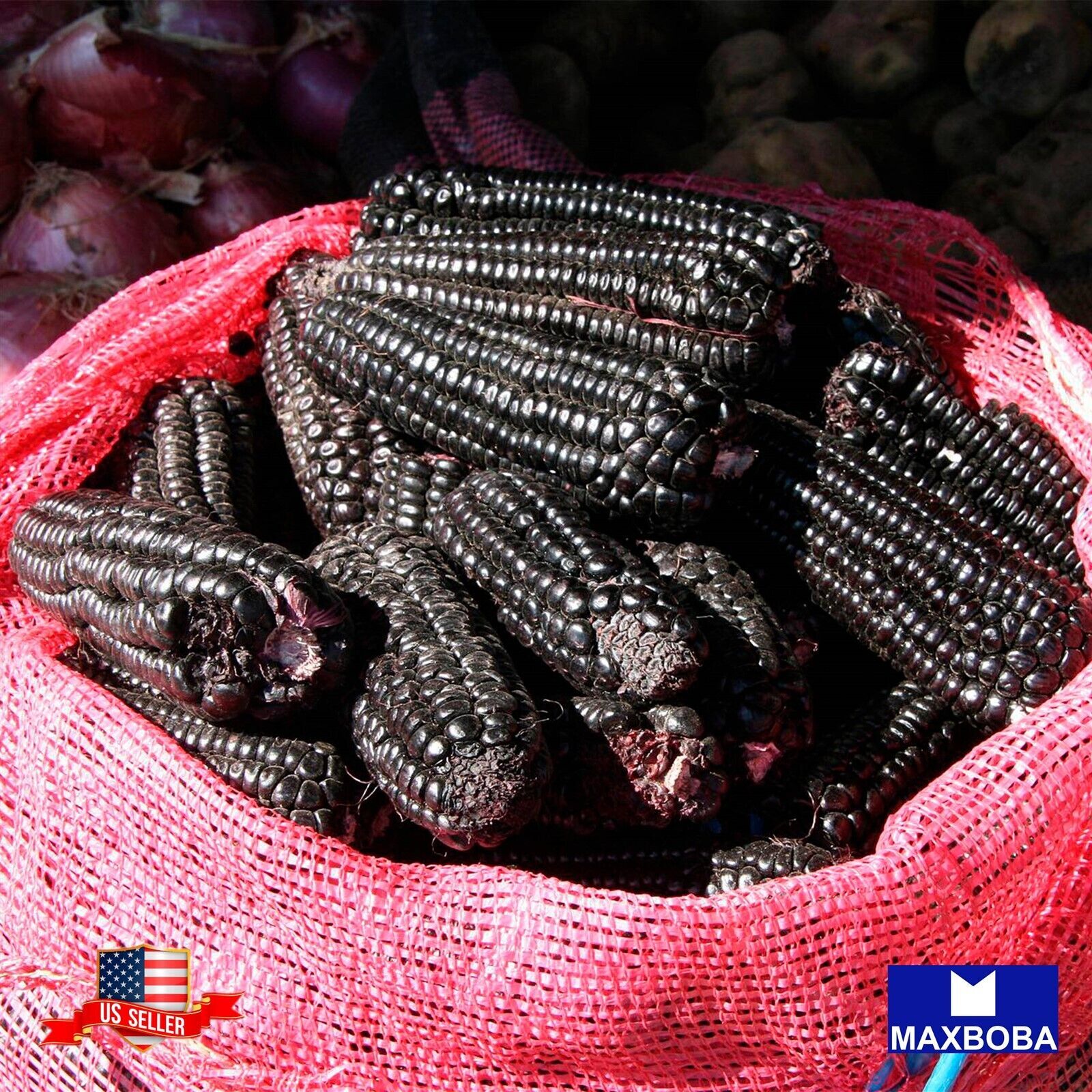 Fresh!!Corn Seeds – Blue Hopi Non-GMO Heirloom Vegetable Garden