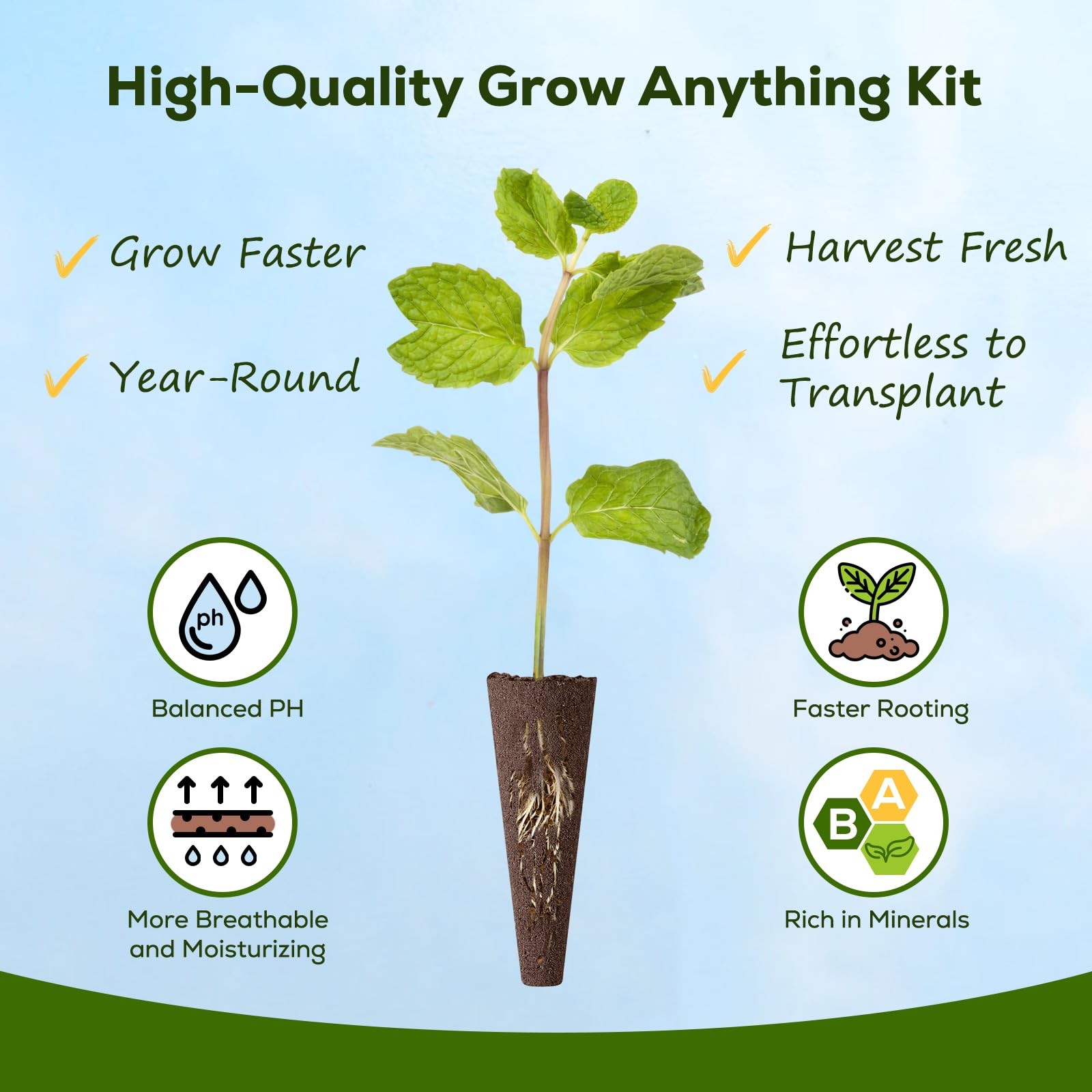 Hydroponic Salad Seed Kit 12 Pods, 9 Varieties, Easy to Grow, High Germination