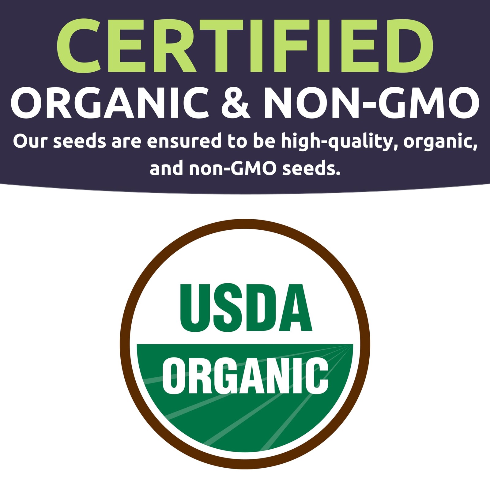 Organic Healthy Greens Seeds Variety Pack 12 Individual Packs 2026 Season …