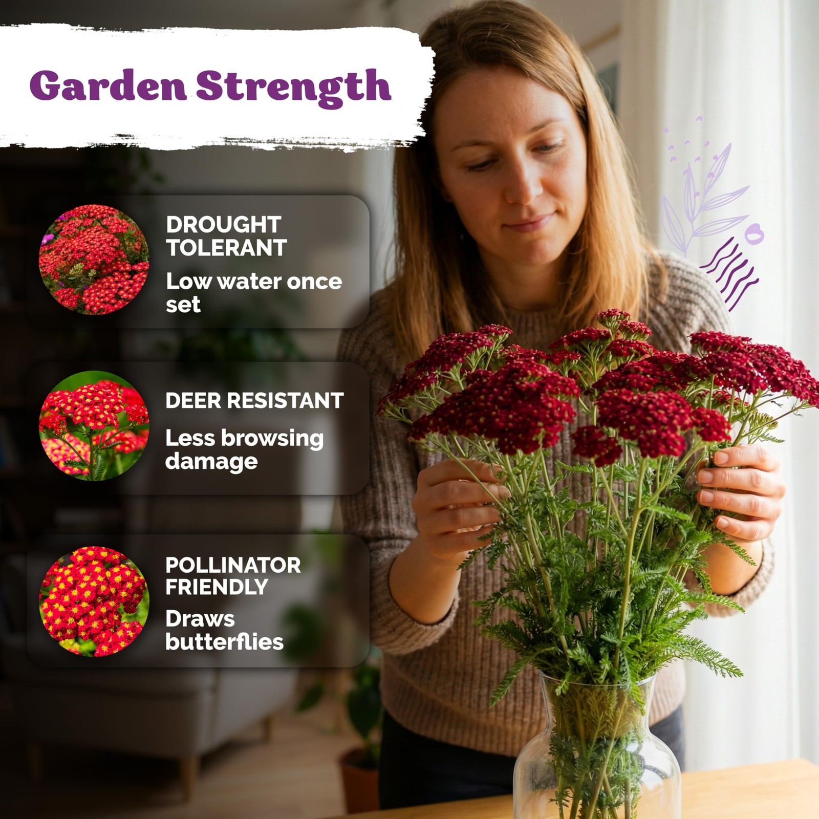 KVITER 7000 Red Yarrow Seeds (Achillea Millefolium Rubra)
