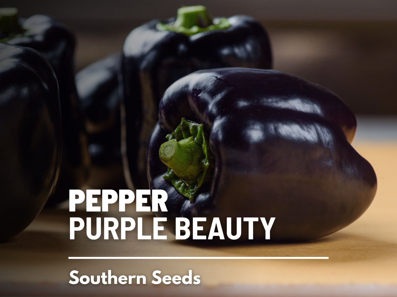Pepper, Purple Beauty Sweet – 30 Seeds – Easy to Grow – Heirloom – GMO Free