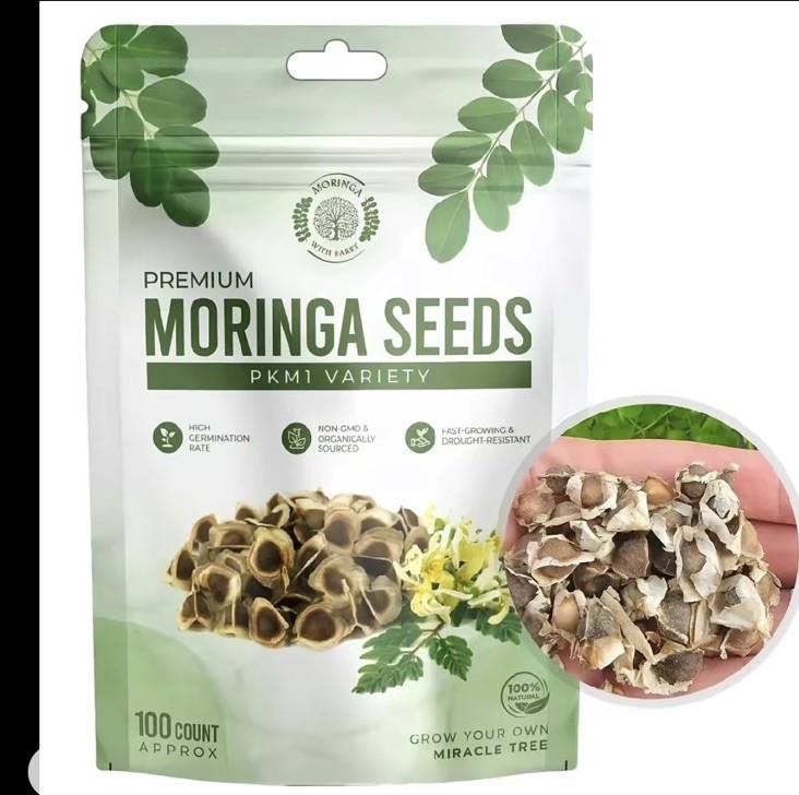 Moringa With Earth Moringa Tree Seeds 100 Count Non GMO High Germination