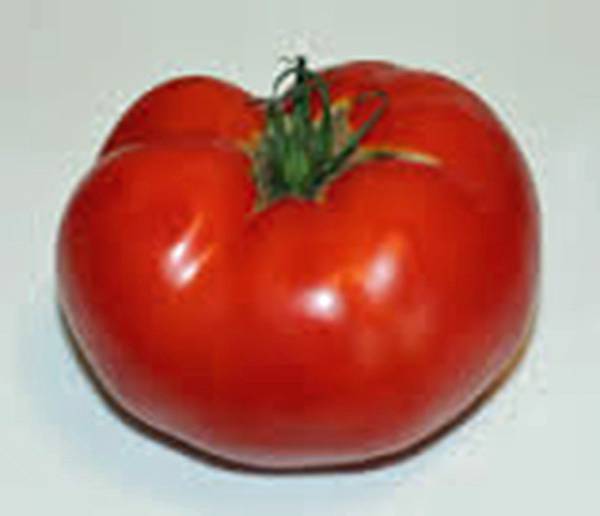 TOMATO SEEDS, RUTGERS, HEIRLOOM, 500 SEEDS, NON GMO, LARGE TOMATO