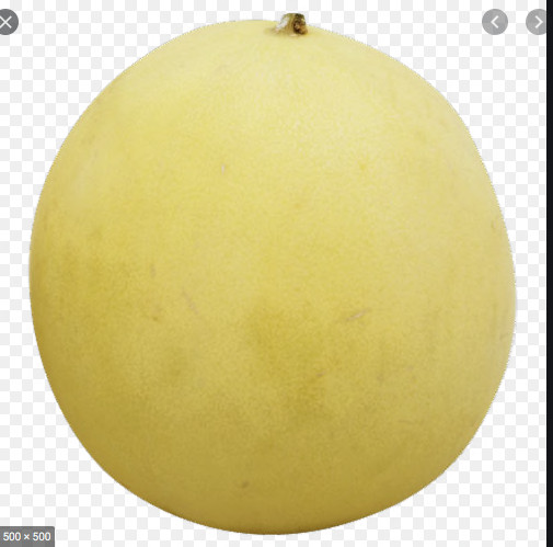 100 Seeds Cantaloupe , Honeydew Melon Seeds