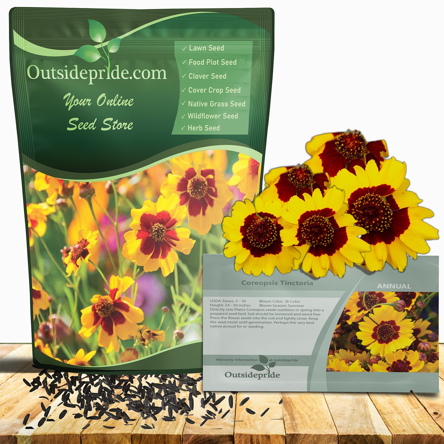 1 LB Plains Coreopsis Drought Tolerant Xeriscape Wild Flower Seeds