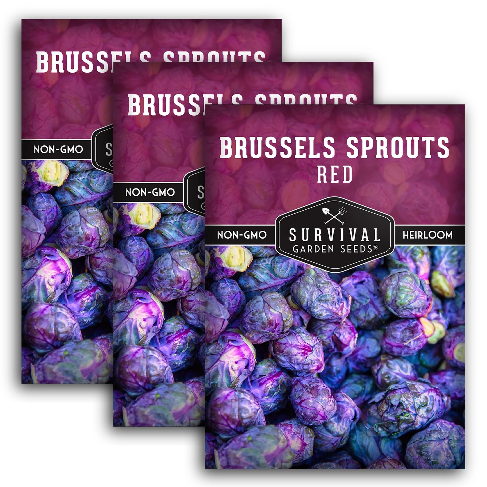 Heirloom NonGMO Red Brussels Sprout Seeds Cold Hardy, Unique Variety 3