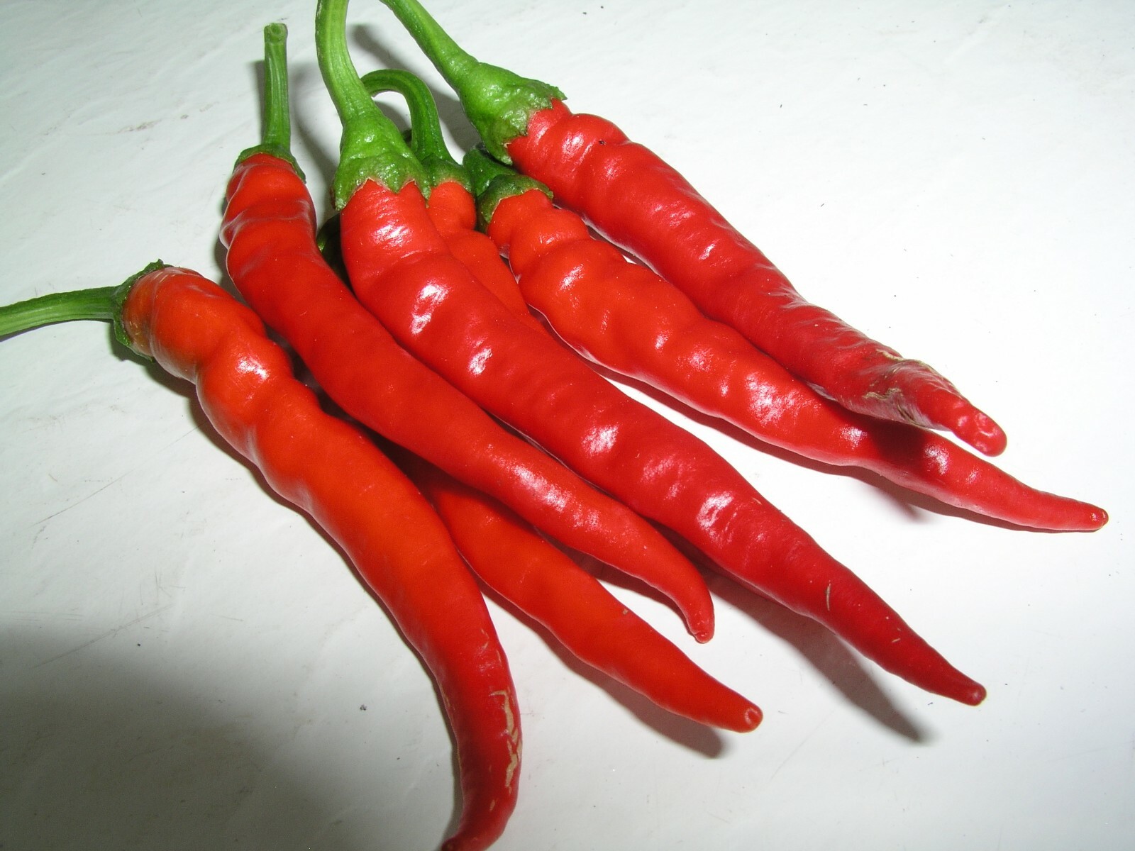LONG RED CAYENNE HOT pepper seeds NON-GMO VERY HEALTHY BIG TASTE NUTRITIOUS YUM!