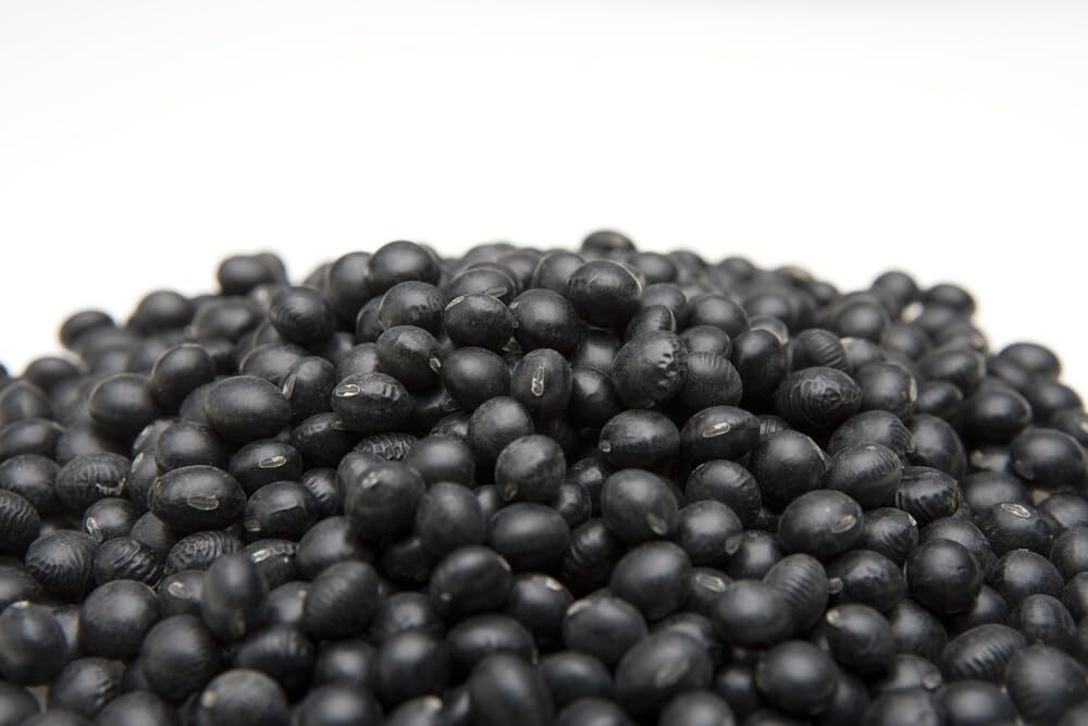 Black Soybean Seeds for Planting – Grown for Sprouts or Full Season