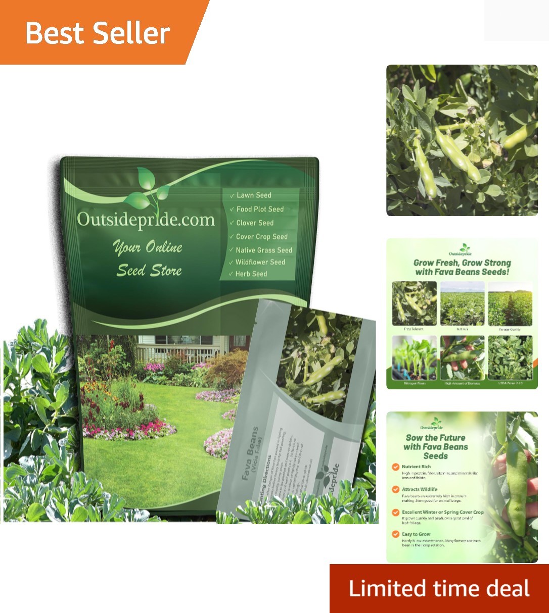 Annual Fava Beans Seeds – 1 oz. High-Protein Forage Legume Seed for Soil Heal…