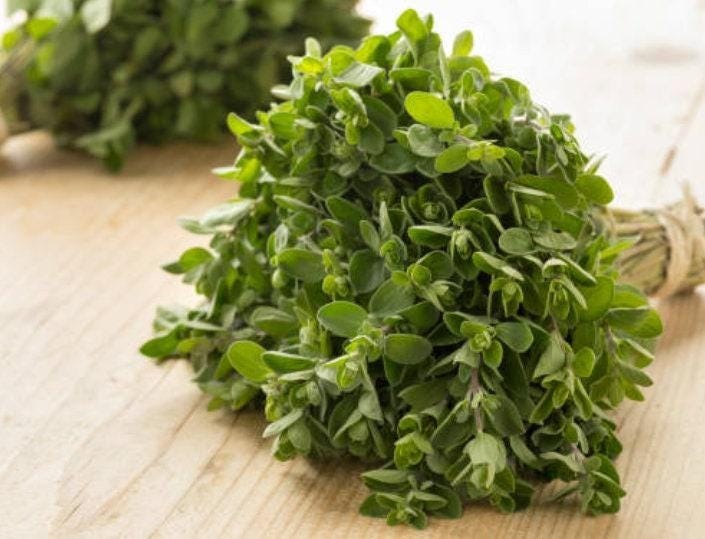 Heirloom Sweet Marjoram Herb Seeds – Organic, Non-Gmo, Container Friendly