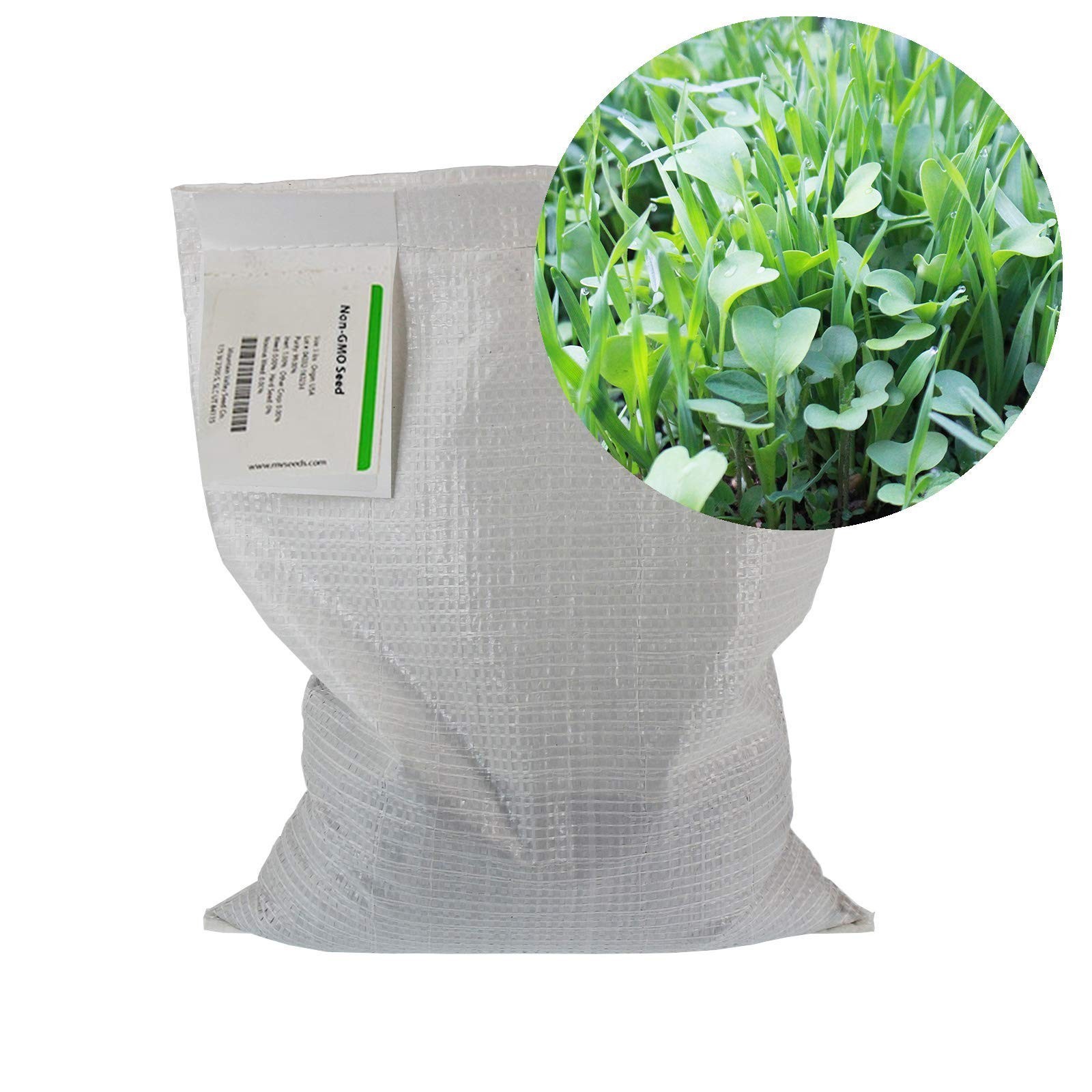 No-Till Garden Cover Crop Seeds Mix – 5 Lbs – Hairy Vetch, Daikon Radish & More