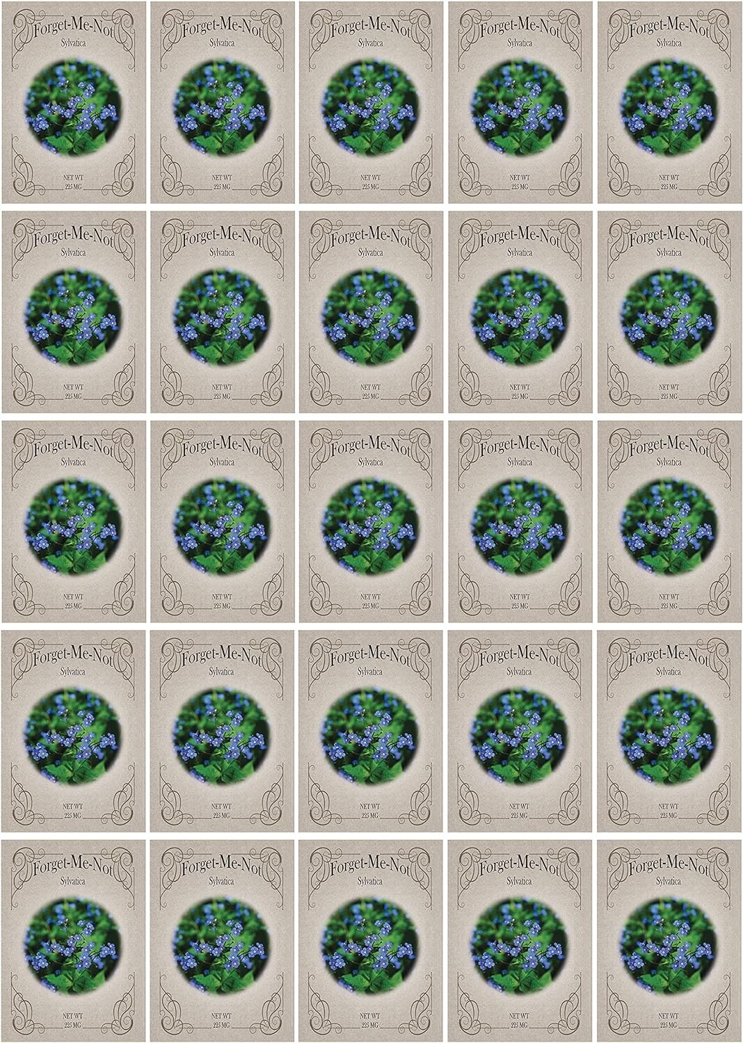 Set of Packs of Forget-Me-Not Flower Seed Packets! Flower Seeds in Bulk