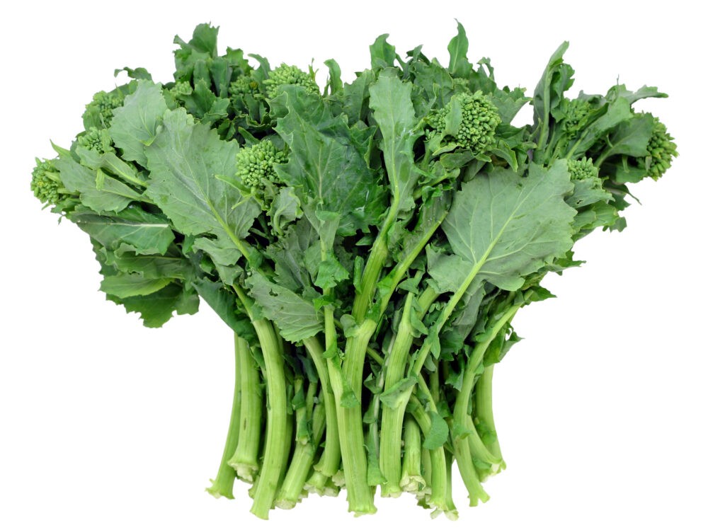 Broccoli Rapini Seeds Heirloom Non-GMO Fresh Vegetable Garden Planting Spring