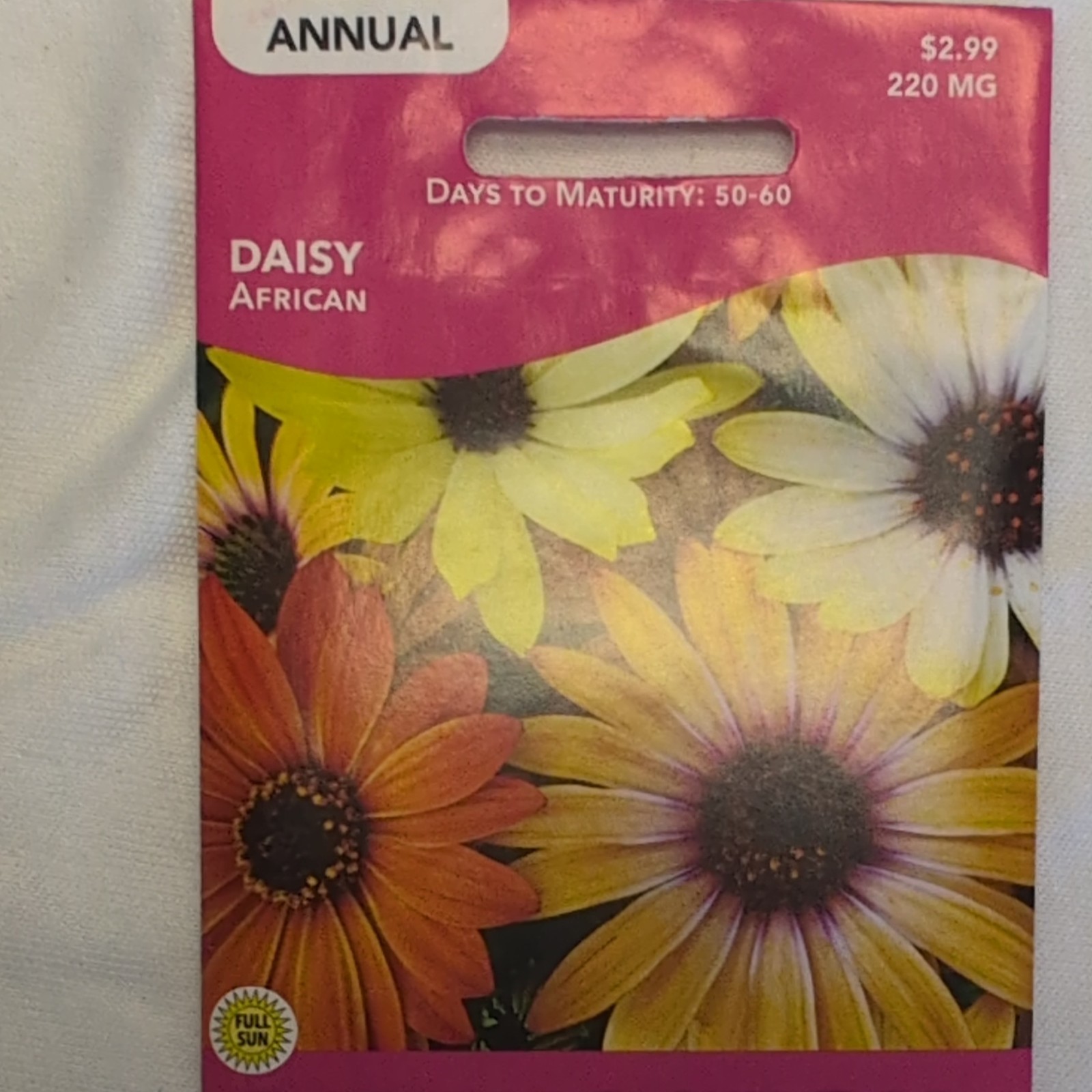 Livingston African Daisy Annual Multicolor Flower Seeds Full Sun Y1145