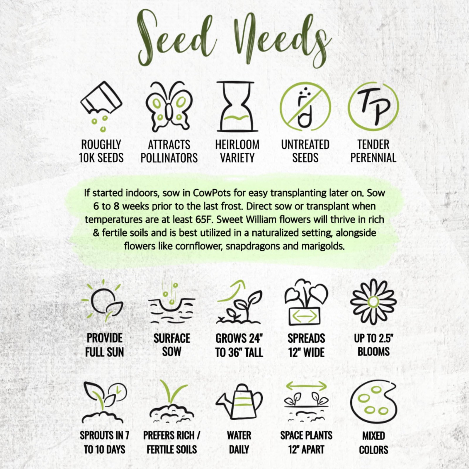 Sweet William Seeds for Planting Heirloom Dianthus Wildflower Mix for