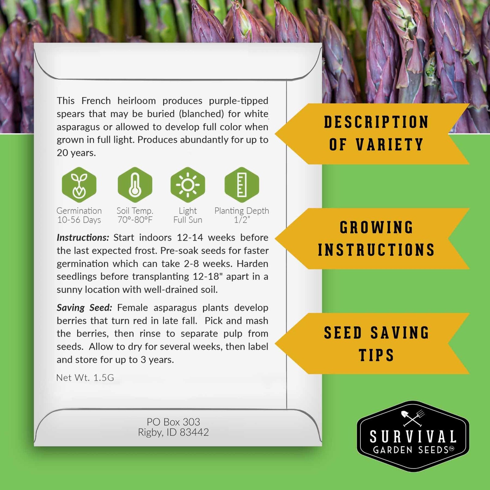 Purple Asparagus Seeds for Planting – Non-GMO Heirloom Vegetable Garden (3